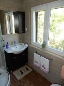 Apartments Indira II