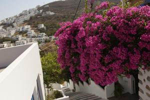 Euthimia luxury studios Astypalaia Greece