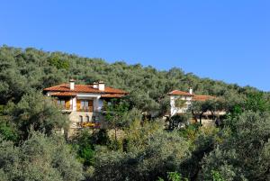 Guesthouse Apanemia Pelion Greece