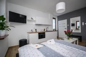 Apartamenty AP 1 - Brzózka