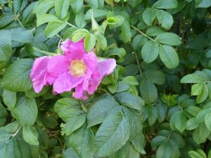 Ferienwohnung Ochtmissen