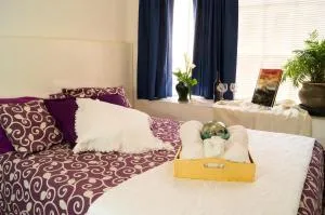 Suite 3B La Paz, Welcome to San Angel - Olivar de los Padres