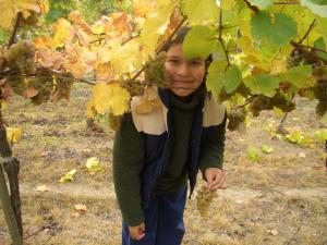 Prabatsch-Aichinger Winzergut