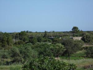 Appartamento indipendente Osala img21