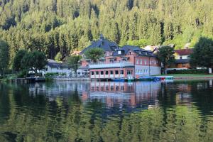 Apartement Seeappartement " Seerose" Feld am See Austria