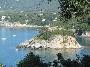 Casa Pineta - Procchio