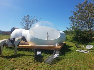 Sejours a la campagne Coachella : photos des chambres