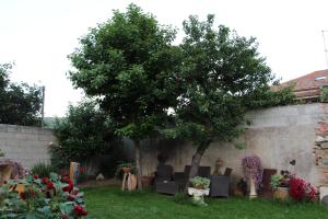 Zia Chiarina img54