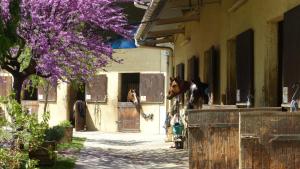 Villas Eole : photos des chambres