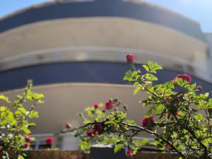 Aydın Apart Pansiyon