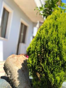 Aydın Apart Pansiyon