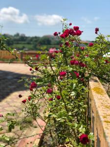 Aydın Apart Pansiyon