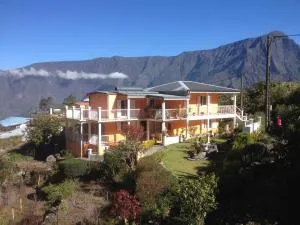 Les Begonias - Le Cap