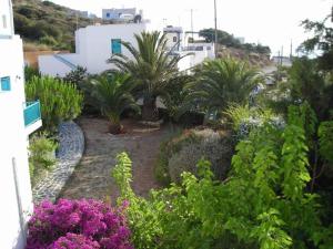 Gryspo's Hotel Amorgos Greece