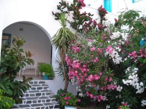 Gryspo's Hotel Amorgos Greece