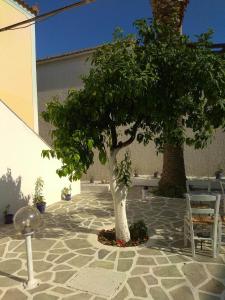 Old Harbor Apartments Spetses Greece