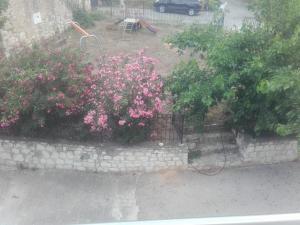 Olympic View Guesthouse