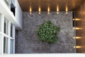 Tierra Viva Miraflores Mendiburu