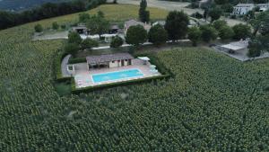 Le querce