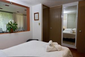 Suite 4A, Terraza, Garden House, Welcome to San Angel