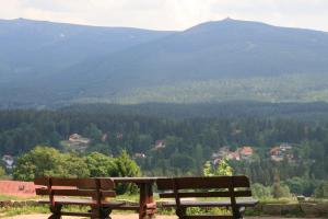 Czajka B&B