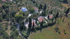 Villa Andrea Messinia Greece