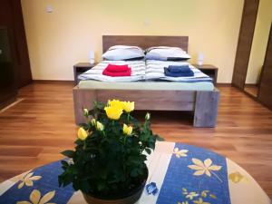 Apartament u Joli