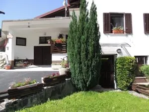 Apartment Carli-Jurč - 科巴里德