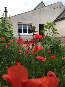 Maisons de vacances Gite du Parc des Mauves : photos des chambres