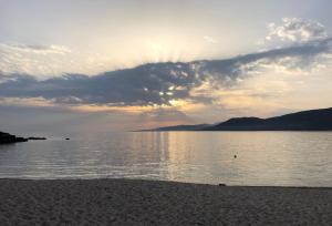 Appartements Magnifique appartement devant la plage : photos des chambres