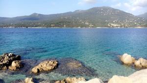 Appartements Magnifique appartement devant la plage : photos des chambres