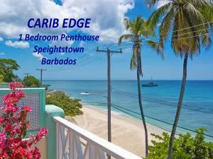 Carib Edge, AC beach penthouse - Saint Peter
