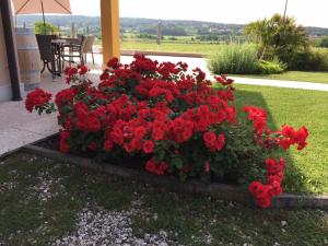 B&B Ca Marognole