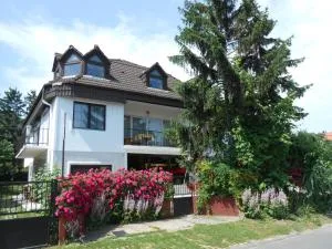 Nagy Vendégház - 鲍道乔尼特尔代米茨