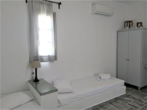 Luxury Apartment