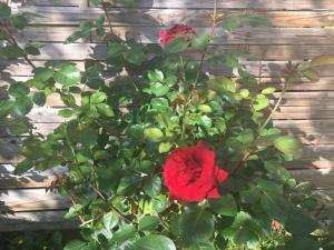 B&B Aux Vieilles Pierres photo 24