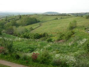 Maisons de vacances Gites 