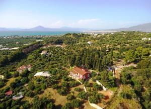 Sea View Villa with 4 bedrooms - grECOrama Achaia Greece