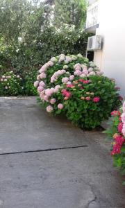 Apartments Ratković