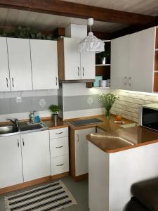 Apartament HORN