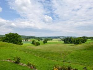 Maisons de vacances Exquisite Mansion in Cantal with bubble bath Sauna and Pool : photos des chambres