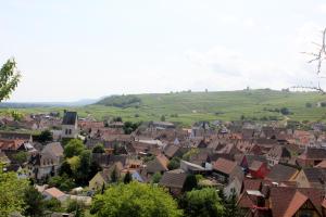 Maisons de vacances Gite des cigognes bleu : photos des chambres