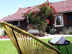 Wooden house Nela near Plitvice Lakes - 3hvězdičkové hotely ve městě Smoljanac