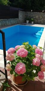 Holiday Home Arboretum