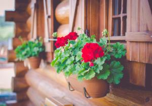 Ubytovanie Koliba Pacho - Zrub Anicka