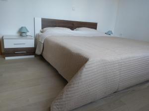 Apartment Iva 
