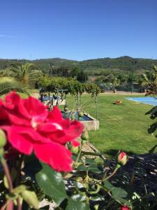Quinta da Vinha Morta