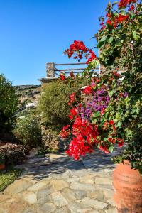 Villa Rallou,breathtaking view Andros Greece