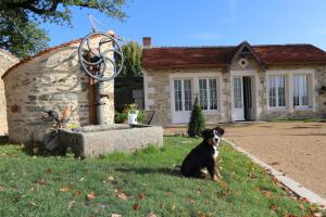 B&B / Chambres d'hotes Le Petit Chateau des Cedres : photos des chambres