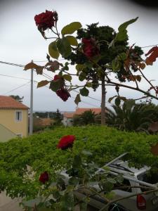 Apartment Neno - Terrace & Parking